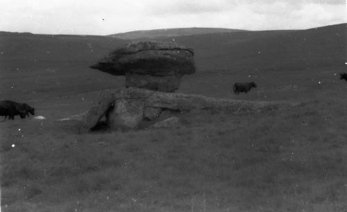 An image from the Dartmoor Trust Archive