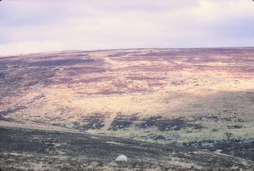 An image from the Dartmoor Trust Archive