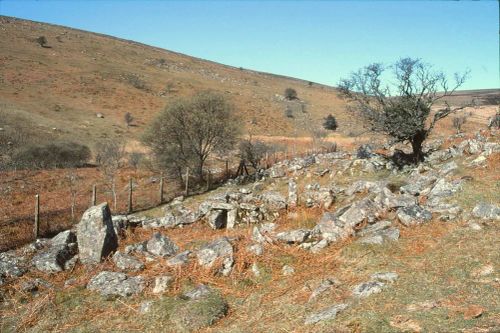 An image from the Dartmoor Trust Archive