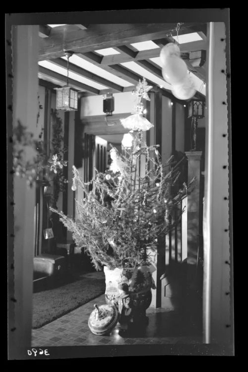 Christmas tree 1936 at Oakley