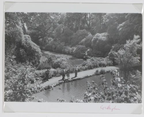 Cockington Lakes