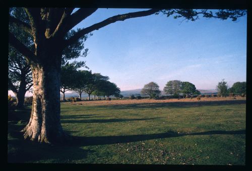 An image from the Dartmoor Trust Archive