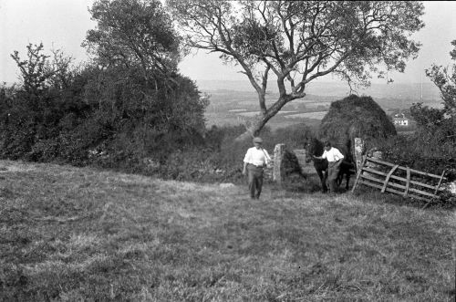 An image from the Dartmoor Trust Archive