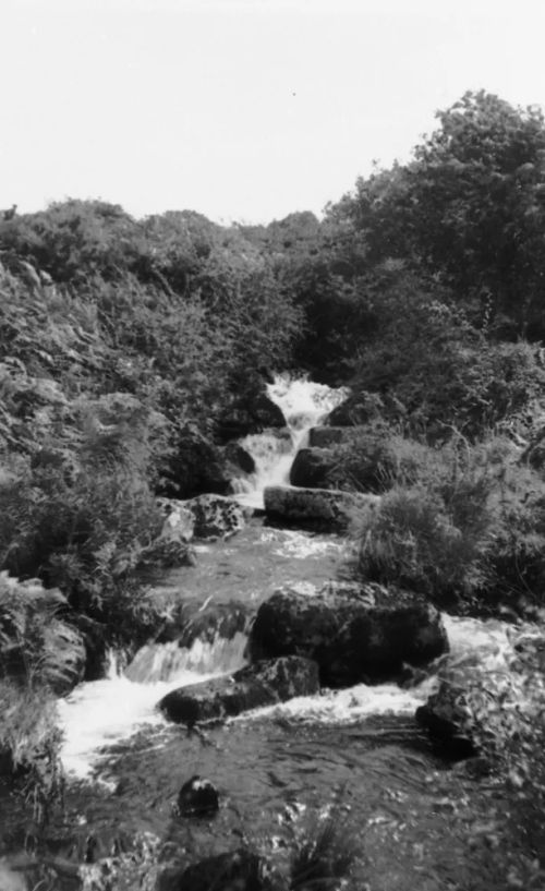 An image from the Dartmoor Trust Archive