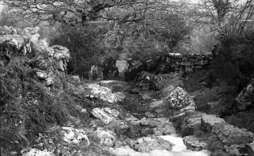 An image from the Dartmoor Trust Archive