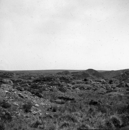 An image from the Dartmoor Trust Archive