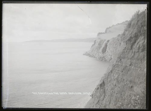 Shaldon: The Ness beach, St Nicholas