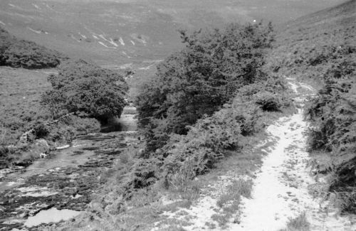 An image from the Dartmoor Trust Archive