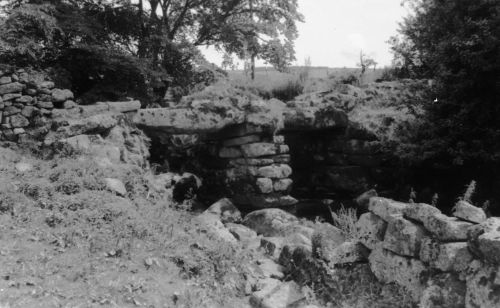 An image from the Dartmoor Trust Archive