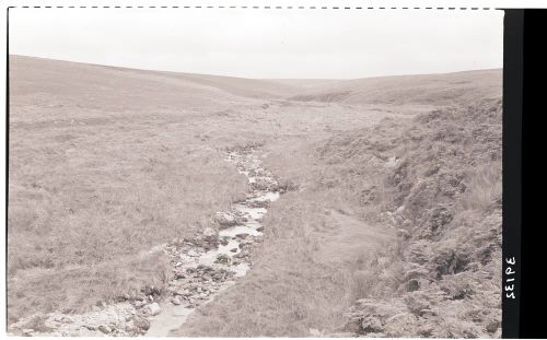 The River Plym near the Junction of Langcombe Brook