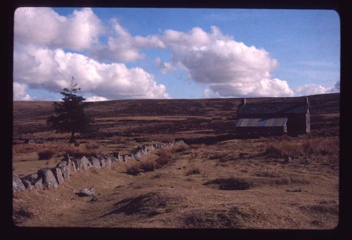 An image from the Dartmoor Trust Archive