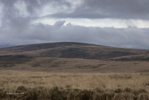 COSDON BEACON