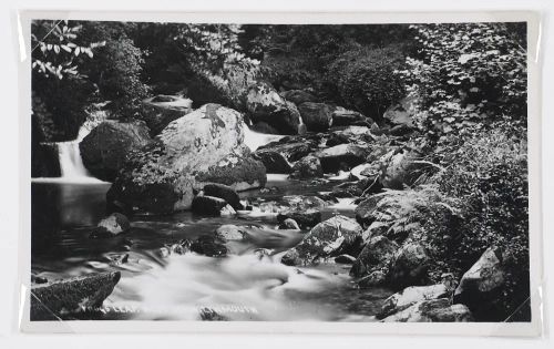 Frogs Leap. West Lynn. Lynmouth.