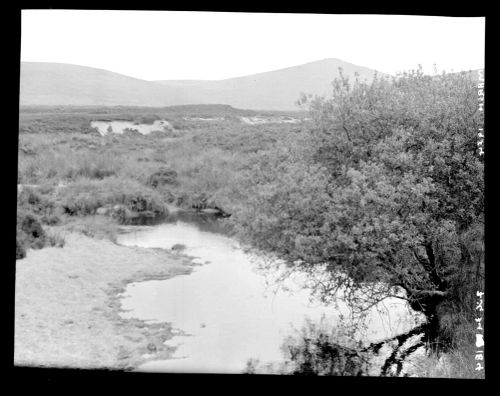 River at Taw Marsh