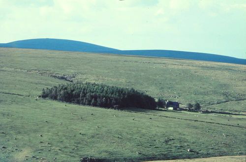 An image from the Dartmoor Trust Archive