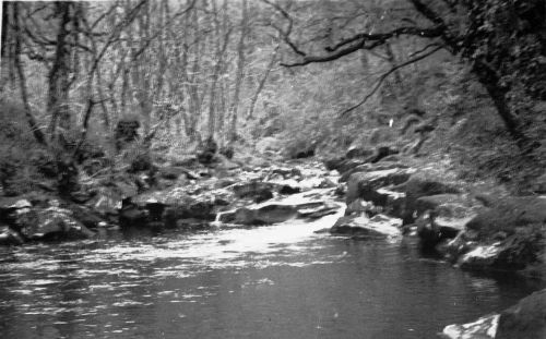 An image from the Dartmoor Trust Archive