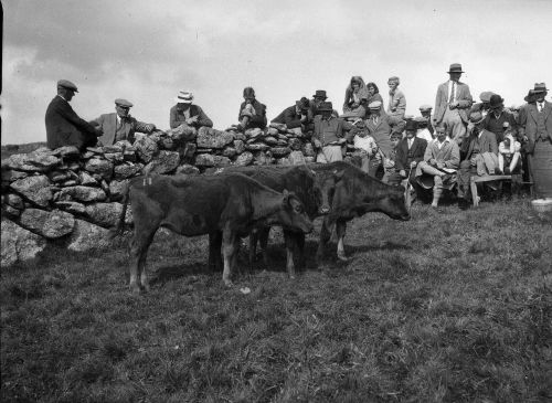 An image from the Dartmoor Trust Archive