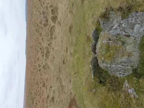 An image from the Dartmoor Trust Archive