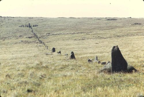 An image from the Dartmoor Trust Archive