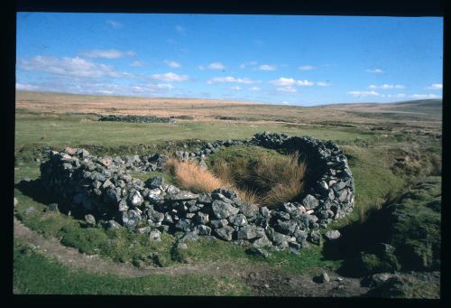 An image from the Dartmoor Trust Archive