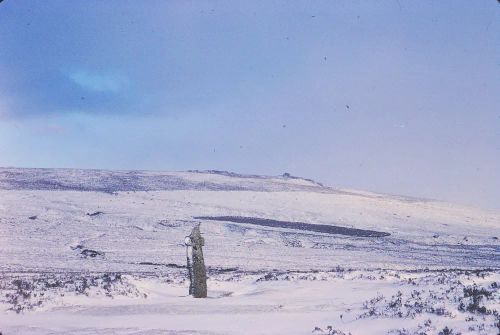 An image from the Dartmoor Trust Archive