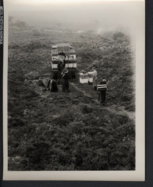 Unloading bee hives on Dartmoor