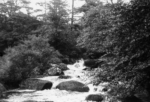 An image from the Dartmoor Trust Archive