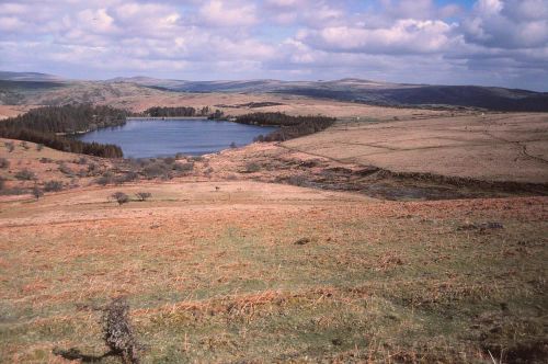 An image from the Dartmoor Trust Archive