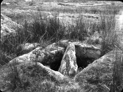 An image from the Dartmoor Trust Archive