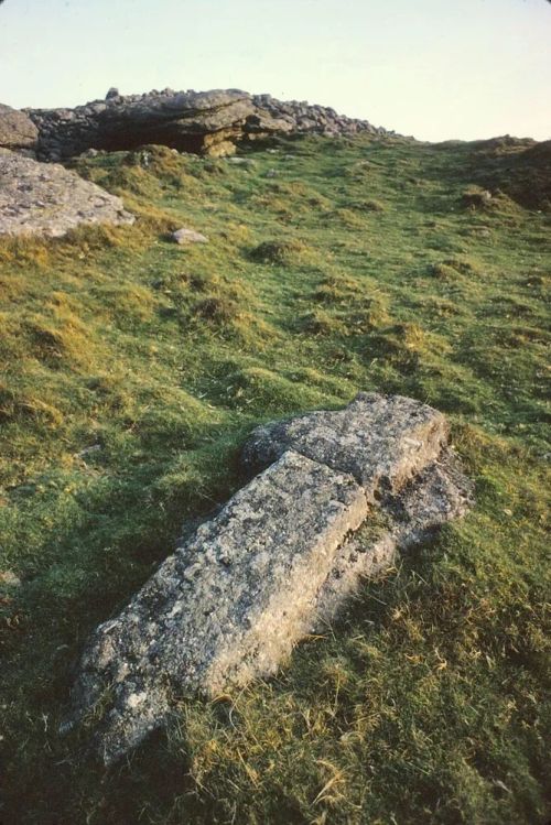 An image from the Dartmoor Trust Archive