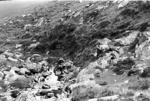 An image from the Dartmoor Trust Archive