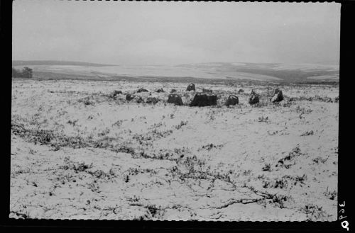 Soussons Common Stone Circle