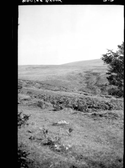 Hart Tor Brook