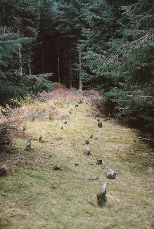 An image from the Dartmoor Trust Archive