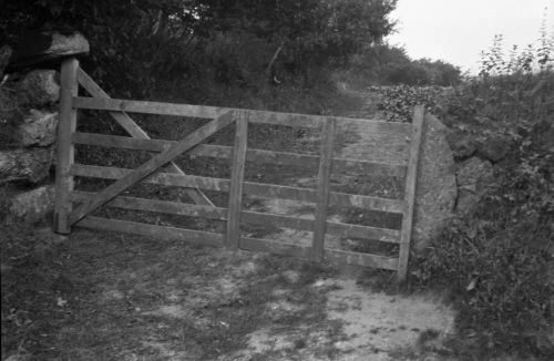 An image from the Dartmoor Trust Archive