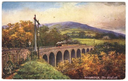 The Viaduct,Ivybridge