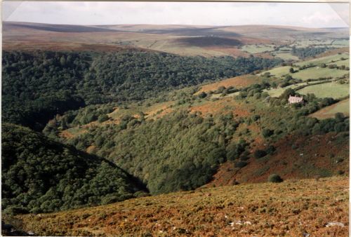 The Dart Valley From Mel Tor