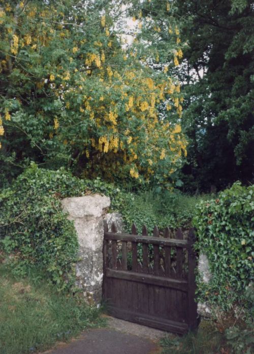 Buckland in the Moor Cross 