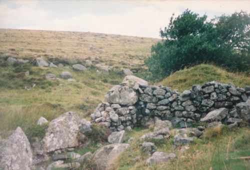 An image from the Dartmoor Trust Archive