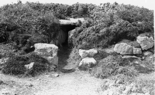 An image from the Dartmoor Trust Archive