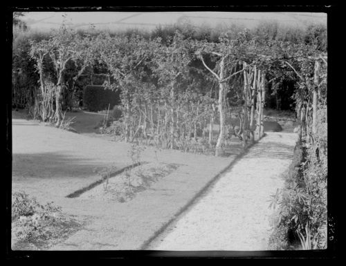 Garden at Oakley, Plympton