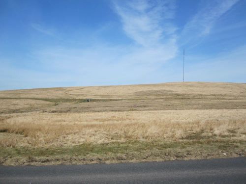 Walkhampton Common