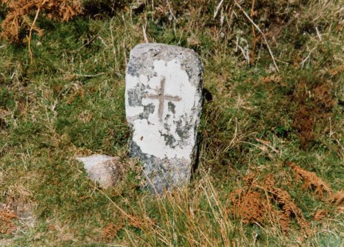 Keble Martin's Cross