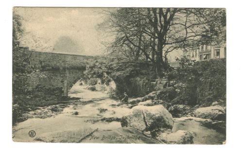 Ivybridge