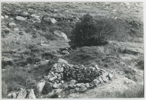 An image from the Dartmoor Trust Archive