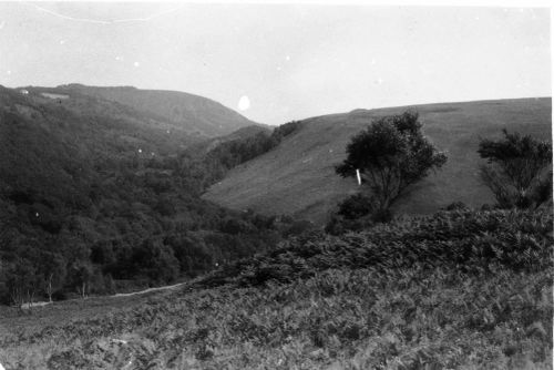 An image from the Dartmoor Trust Archive