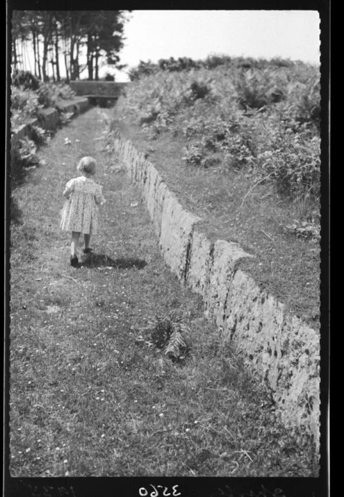 Shirley Taylor Walking Along a Leat on Roborough Down