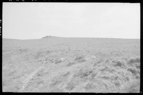 Hart Tor stone rows