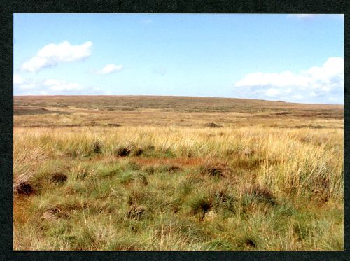 9/59 Aune Head Mires 13/9/1991