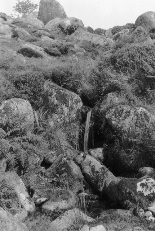 An image from the Dartmoor Trust Archive